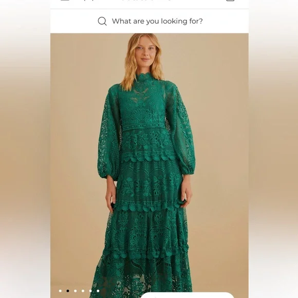 ✨WORN ONCE - FARM Rio Guipure Green Long Sleeve Maxi Dress Sz XS✨ - Picture 2 of 9
